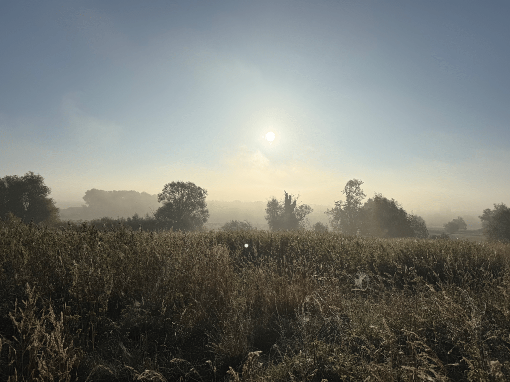 The energy transition must flip its narrative from baseline to top-up